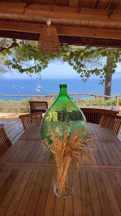 Villa Terra Casanova Pieds Dans L'Eau A 20 Mn D Ajaccio Villanova Exteriör bild